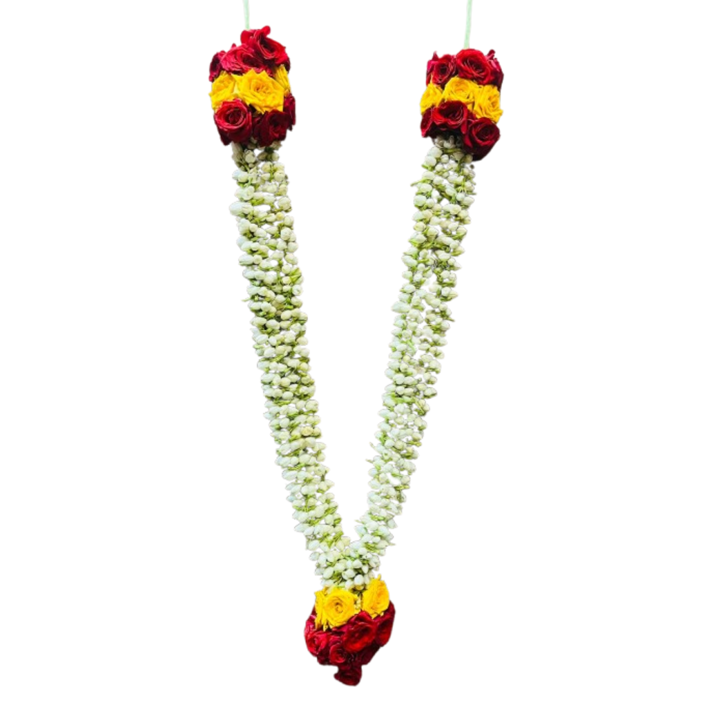Jasmin Garland
Big