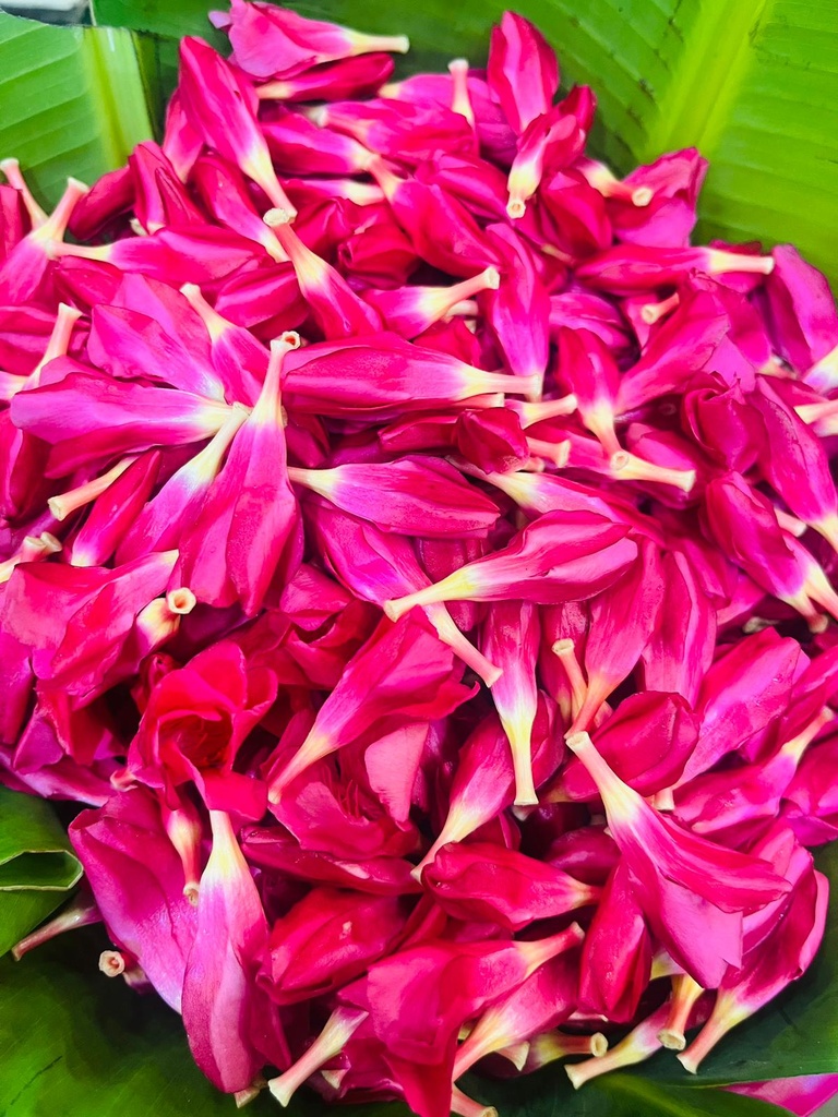 Pink Arali Flower Loose