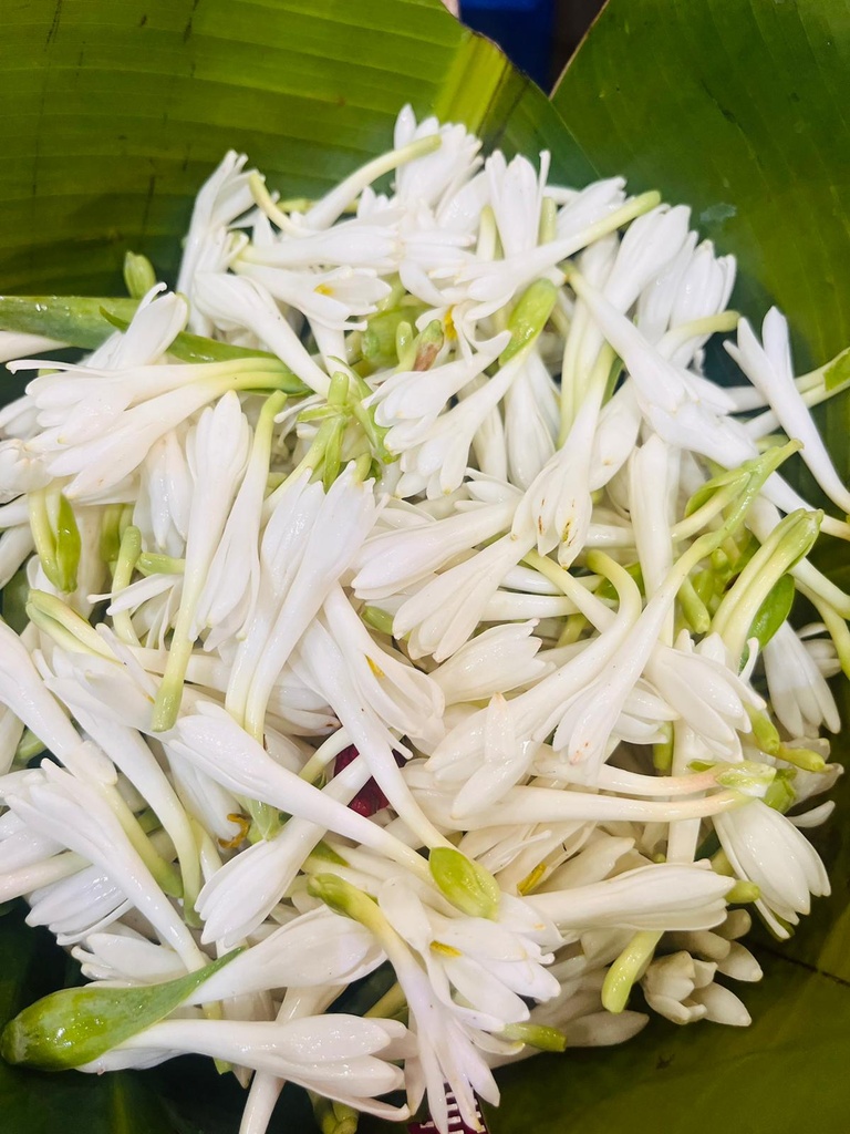 Sempangki Flower Loose