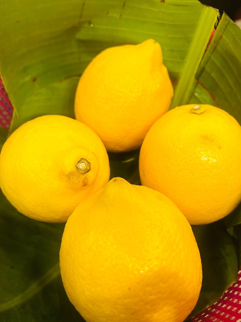 Yellow Lemon Big