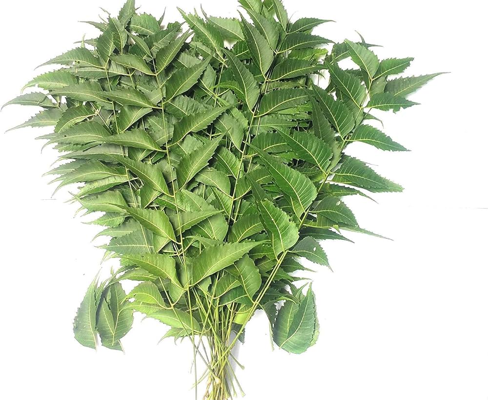 Neem Bunch