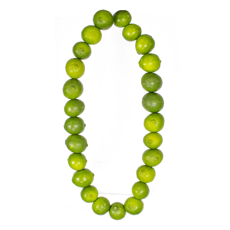 108 Lemon Garland
