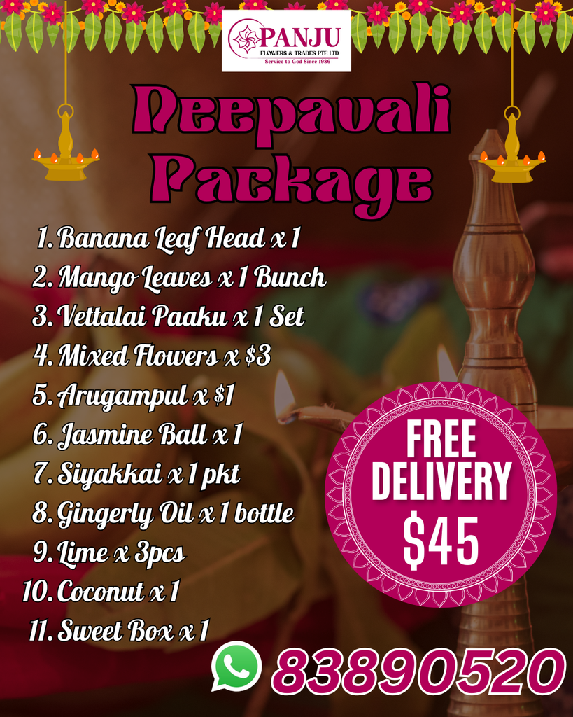 Deepavali Package 2024