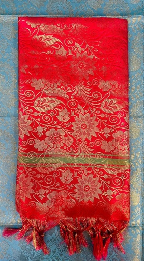 Bright Red Salvai