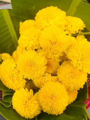 Kumki Loose Flowers