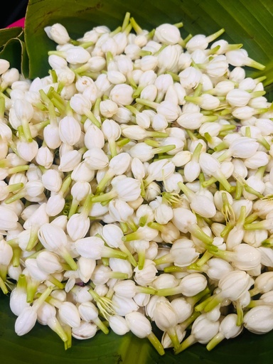 Jasmine Flower 
Loose