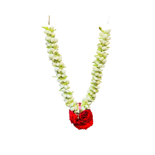 Jasmin Garland
Small