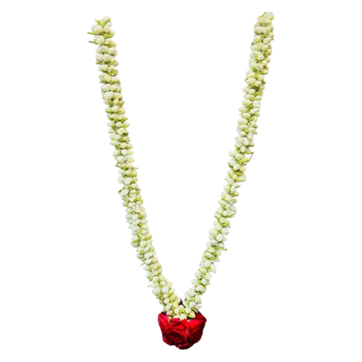 Jasmin Garland
Medium