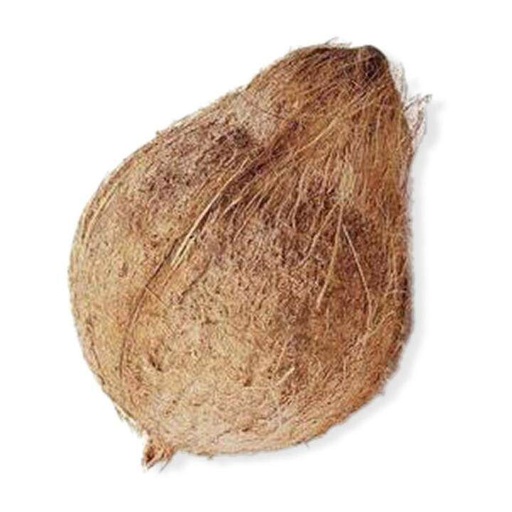 Coconut
