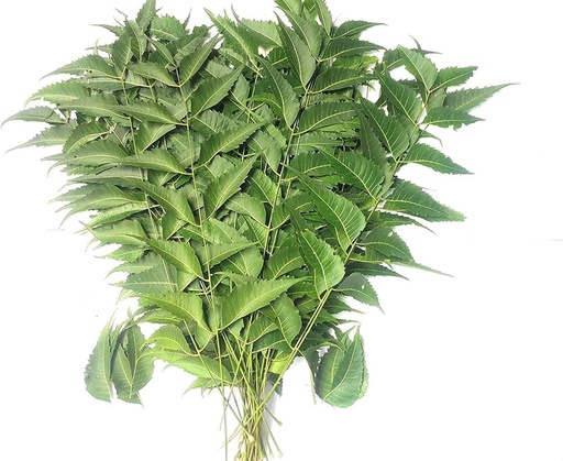 Neem Bunch