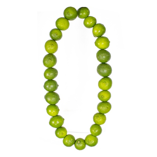 108 Lemon Garland
